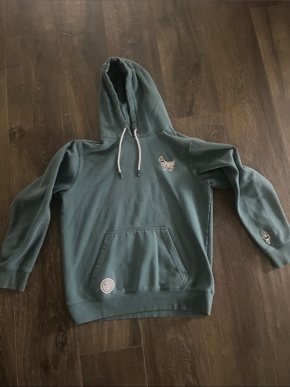 Unbranded Teal Green Men's Pullover Hoodie with Embroidered Accent